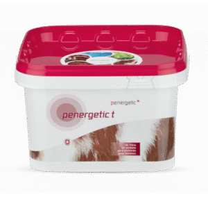 Penergetic T Mastisit 3kg